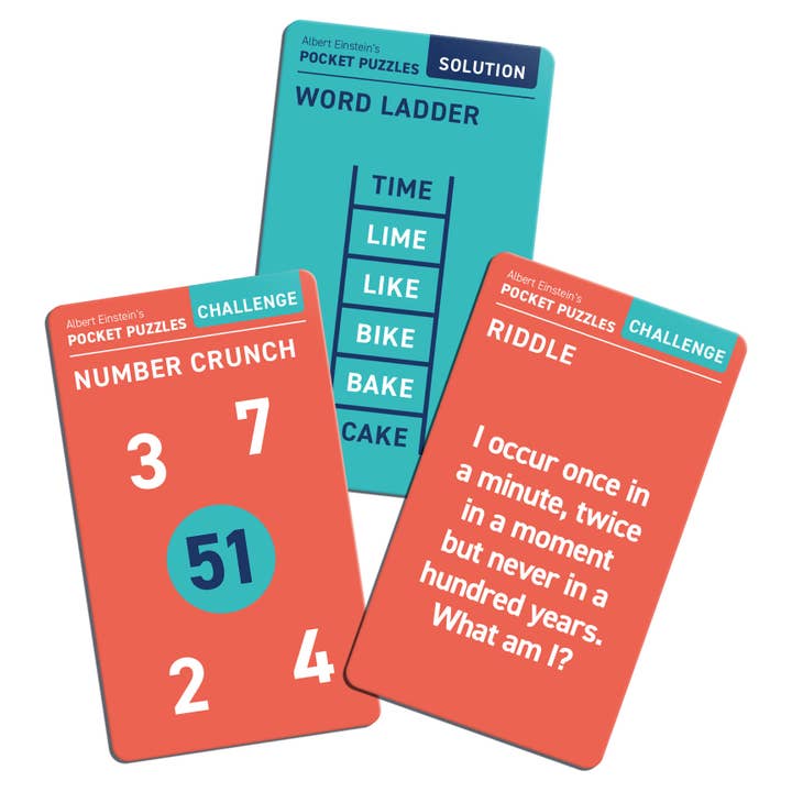 Professor Puzzle USA, Inc. - Wholesale Puzzle - Adult - Pocket Puzzles2