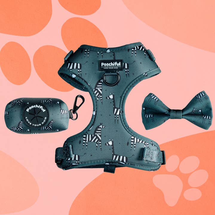 Poochiful - Wholesale Pet Harness - Dog - Adjustable Harness Bundle - Zee Zee Zebra - Green Edition