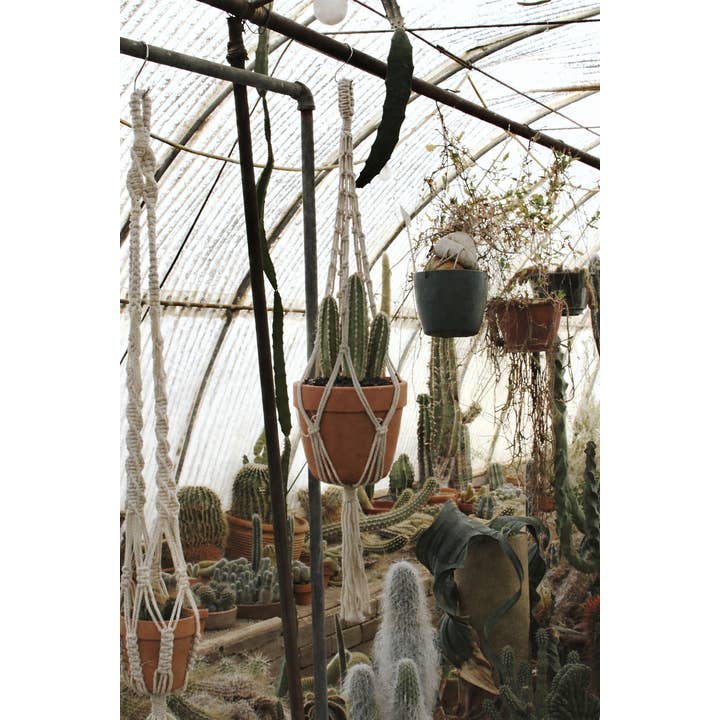 Soul of the Party - Wholesale Hanging Planter - Original Plant Hanger