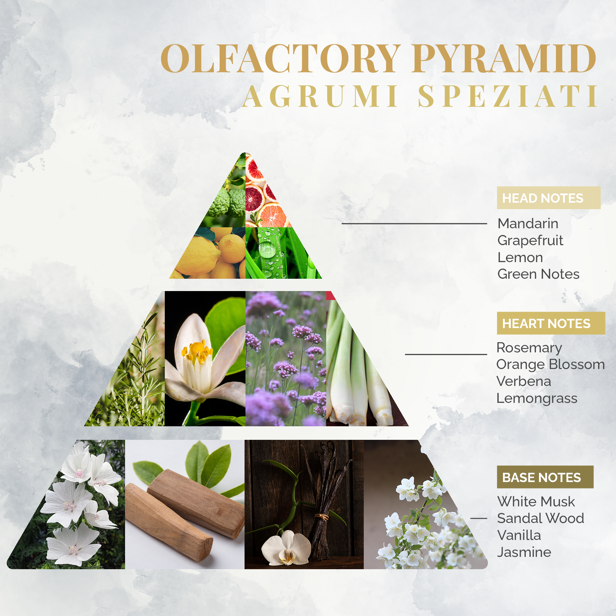 Logevy Firenze 1965 – Engroshandel Duftolie med pinde – Logevy Firenze 1965 krydret citrus duft til rum, 3000 ml2