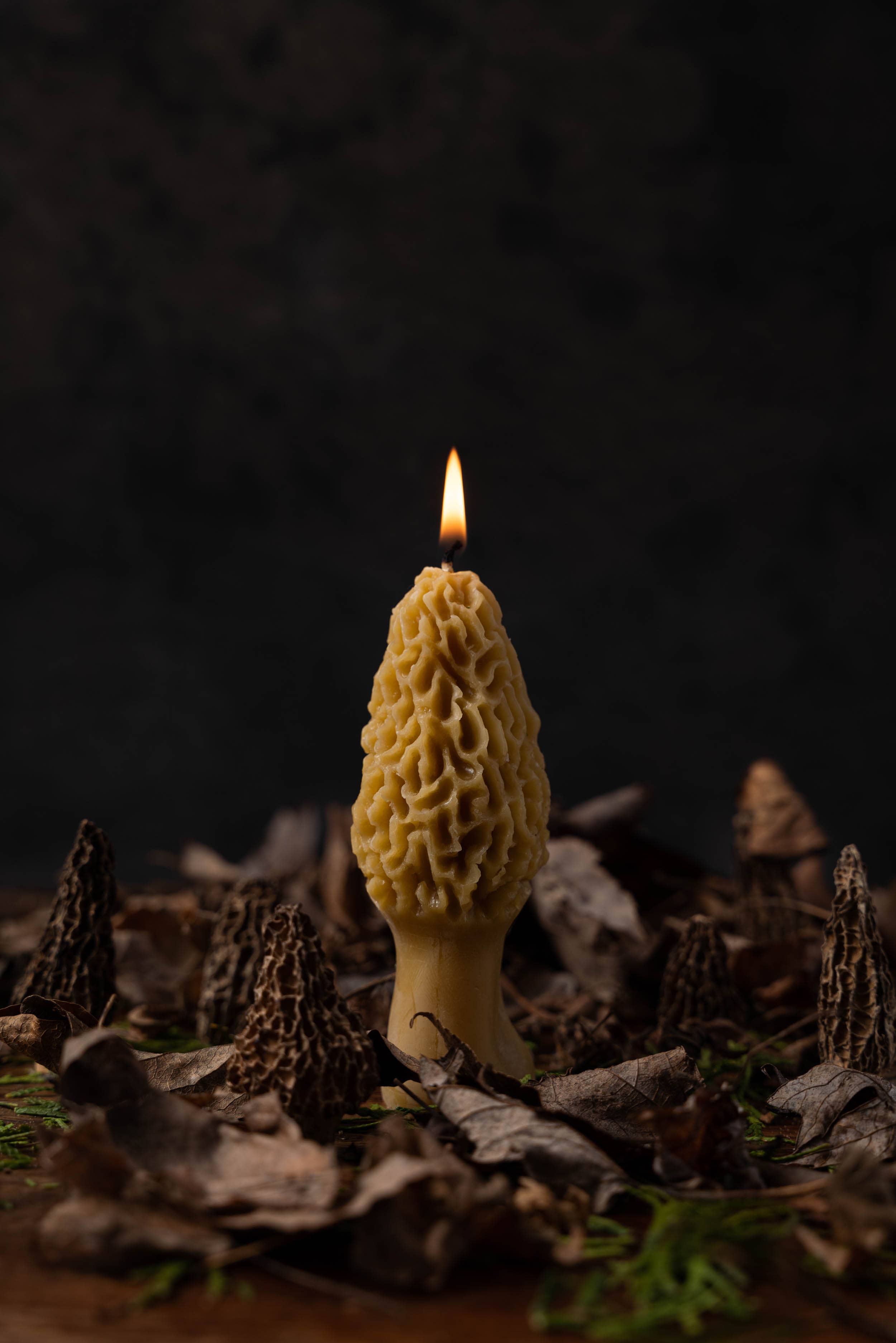 Pine Barrens Post – Großhandel Geschenkkerze – Morchelkerze aus reinem Bienenwachs2