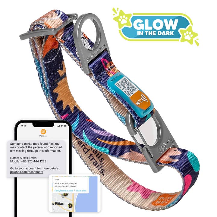 NeoCollar "Glow n' Go" for wholesale by Pawnec