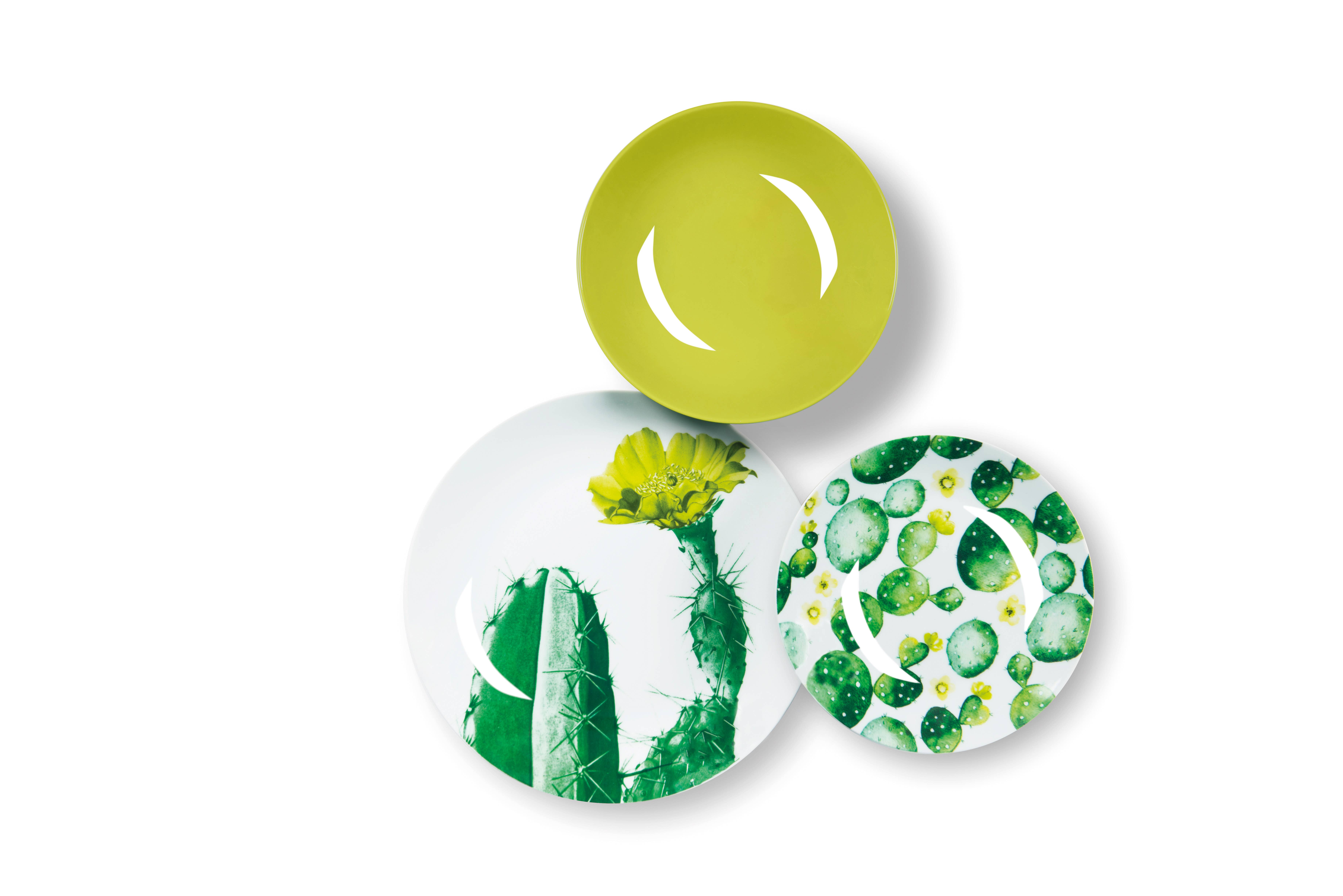 multicolour 18-Piece Dinnerware Set Color Cactus for wholesale on Faire5