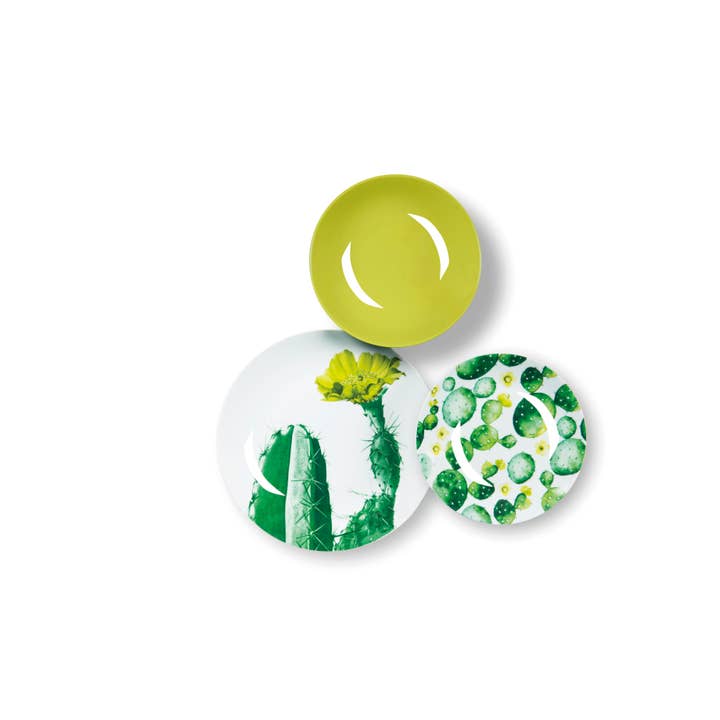 multicolour 18-Piece Dinnerware Set Color Cactus for wholesale on Faire5
