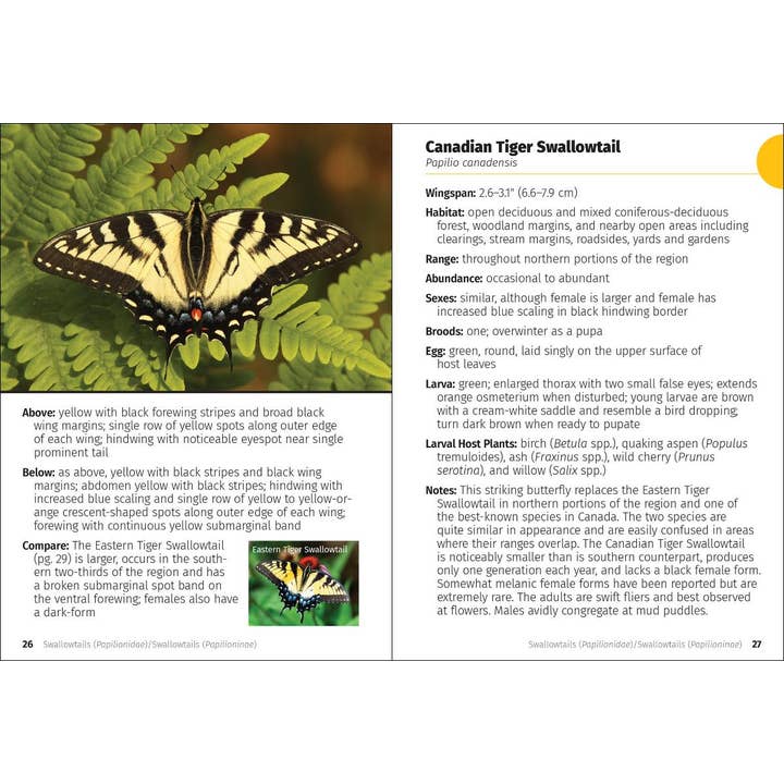 AdventureKEEN - Wholesale Nature & Outdoors - Butterflies of the Midwest Field Guide4