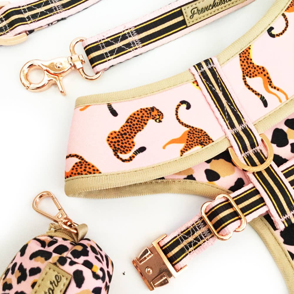 Frenchiestore - Wholesale Pet Harness - Dog - Dog Pet Reversible Health Harness | Wild One5