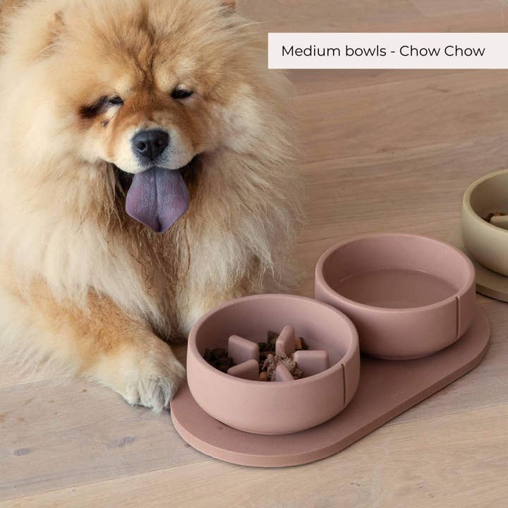 PINO – Großhandel Futternapf – Hund – Langsamfutterschalen - Kollektion 202430