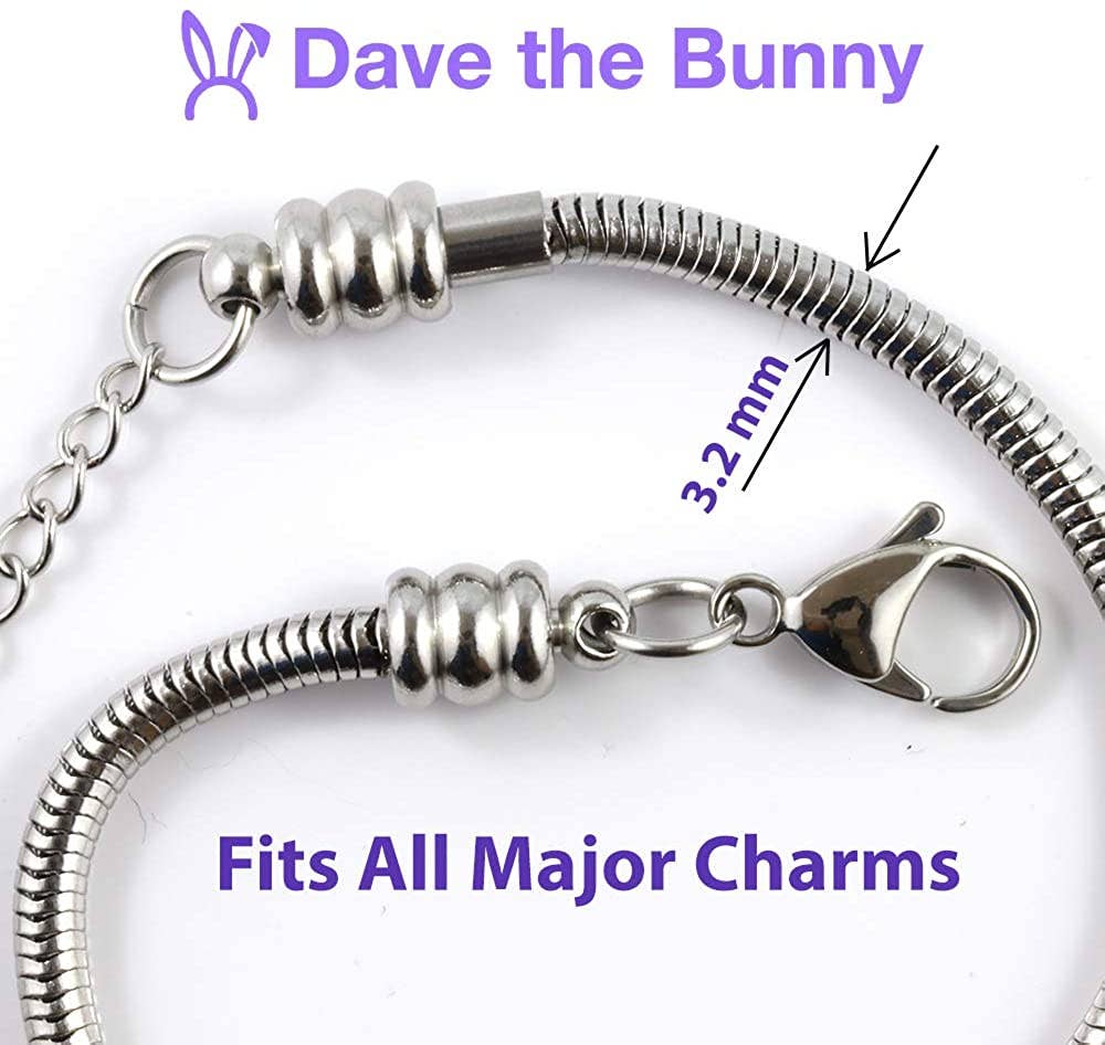 Dave The Bunny - Vente Bracelets à breloques/pendentifs - Bijoux pour vélo | Bracelet à breloques en acier inoxydable hypoallergénique en acier inoxydable pour femme et cadeau pour les passionnés de vélo Penny Farthing Cadeaux de vélo pour femmes5