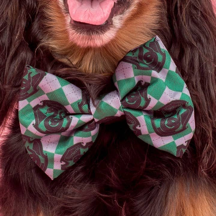 Harry Potter - Slytherin: Bow Tie for wholesale by Pablo & Co. Boutique