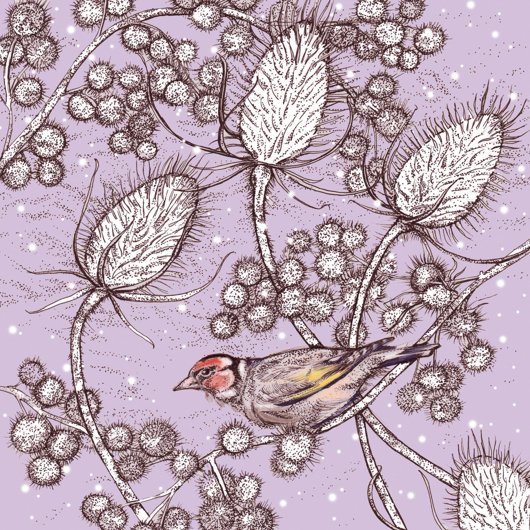 Fay's Studio - Wholesale Gewone wenskaart - Finch and Teasels wenskaart1