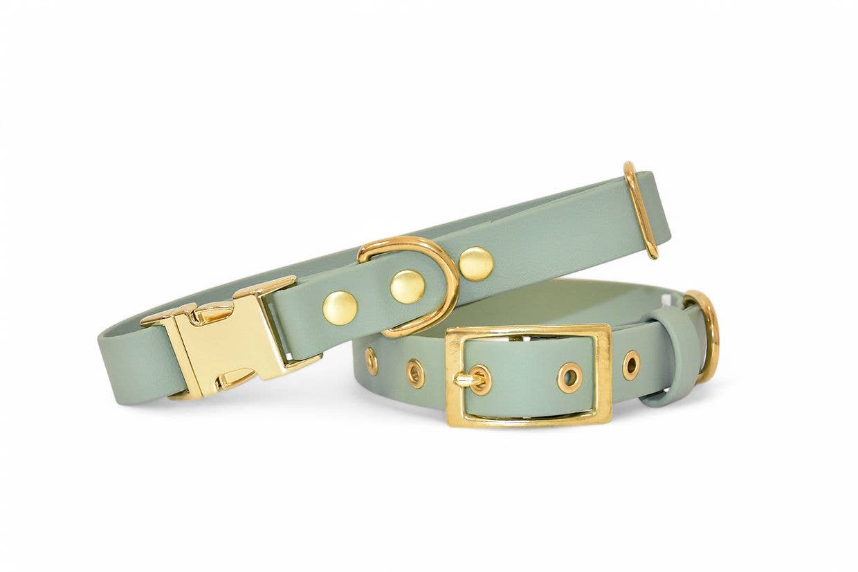 Pompon & Pets - Wholesale Pet Collar - Dog - Water Green Collar - Biothane