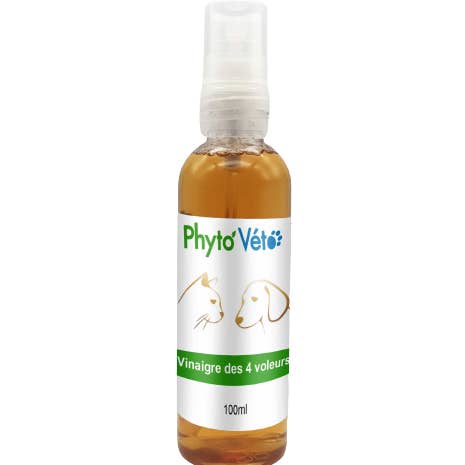 Four Thieves Vinegar 100ml for wholesale by PHYTO VETO