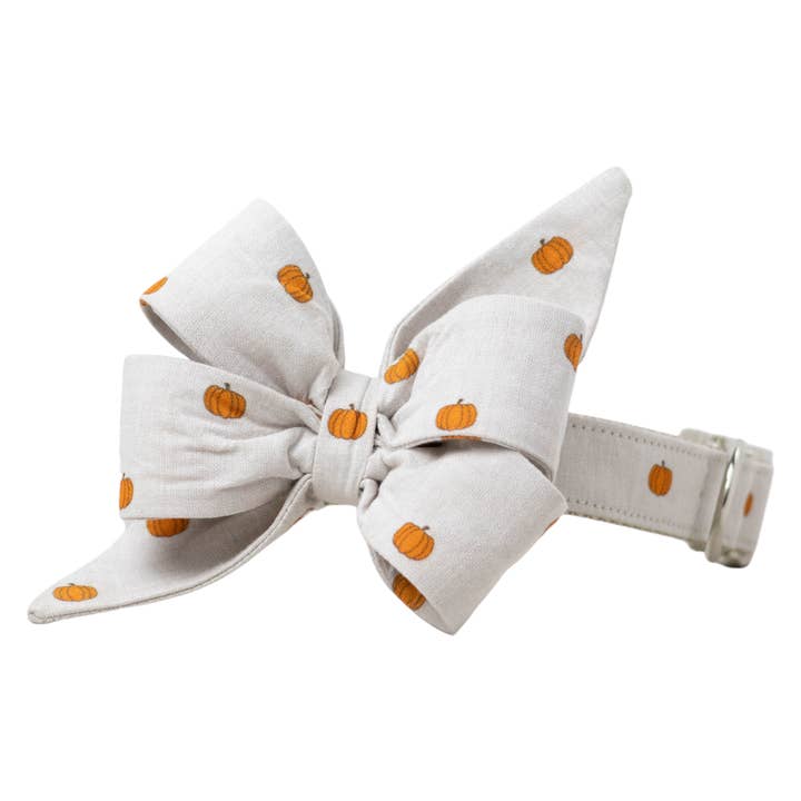 Pumpkin Patch Belle Bow Dog Collar for wholesale by Crew LaLa