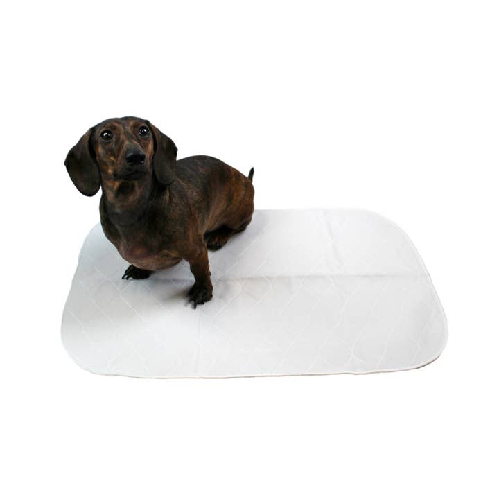 Midlee Designs – Engroshandel Tisseunderlag - Hund – Midlee Genanvendelig Vaskbar Hund Træning Pee Pads (15 „x23" 3 stk)