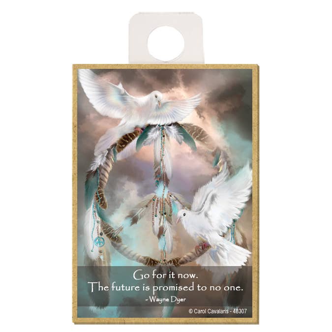 Le colombe vanno per questo ora. il futuro non è promesso a nessuno. per la vendita all'ingrosso da parte di SJT Enterprises, Inc.