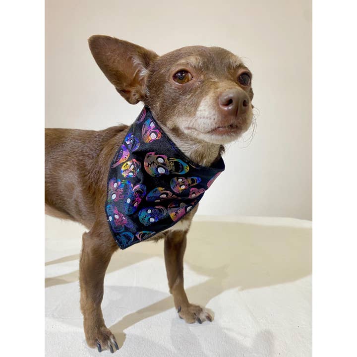 Disco Dog - Vendita all'ingrosso Bandana - Cani - Bandana metallica colorata per cani con teschio, sciarpa