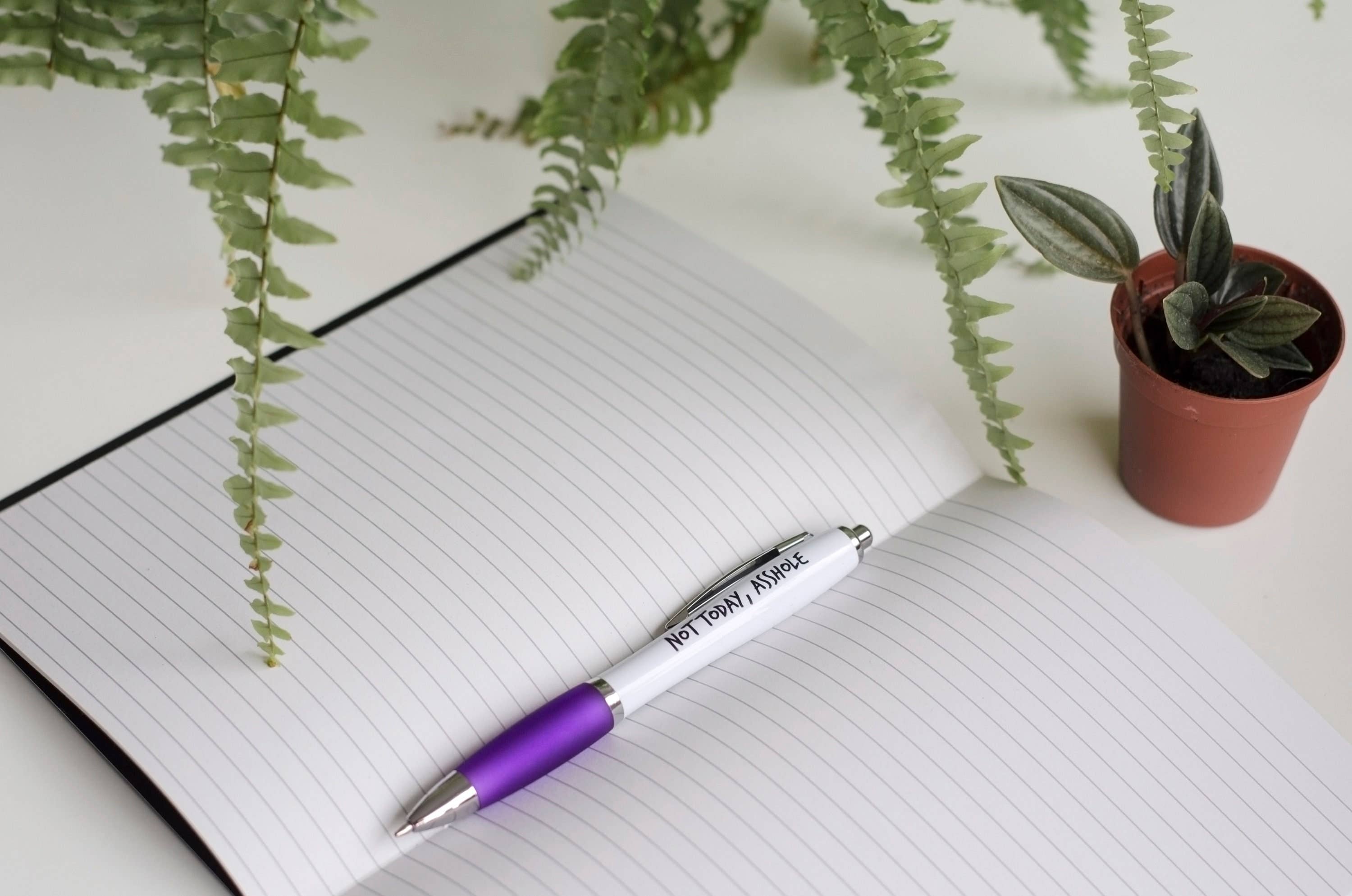 F Bomb Designs - Venta al por mayor Bolígrafo - SWEARY PENS/Not Today Asshole/Bolígrafo divertido y grosero para adultos3