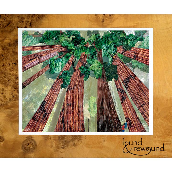 August Redwoods - Print for wholesale by Found & Rewound