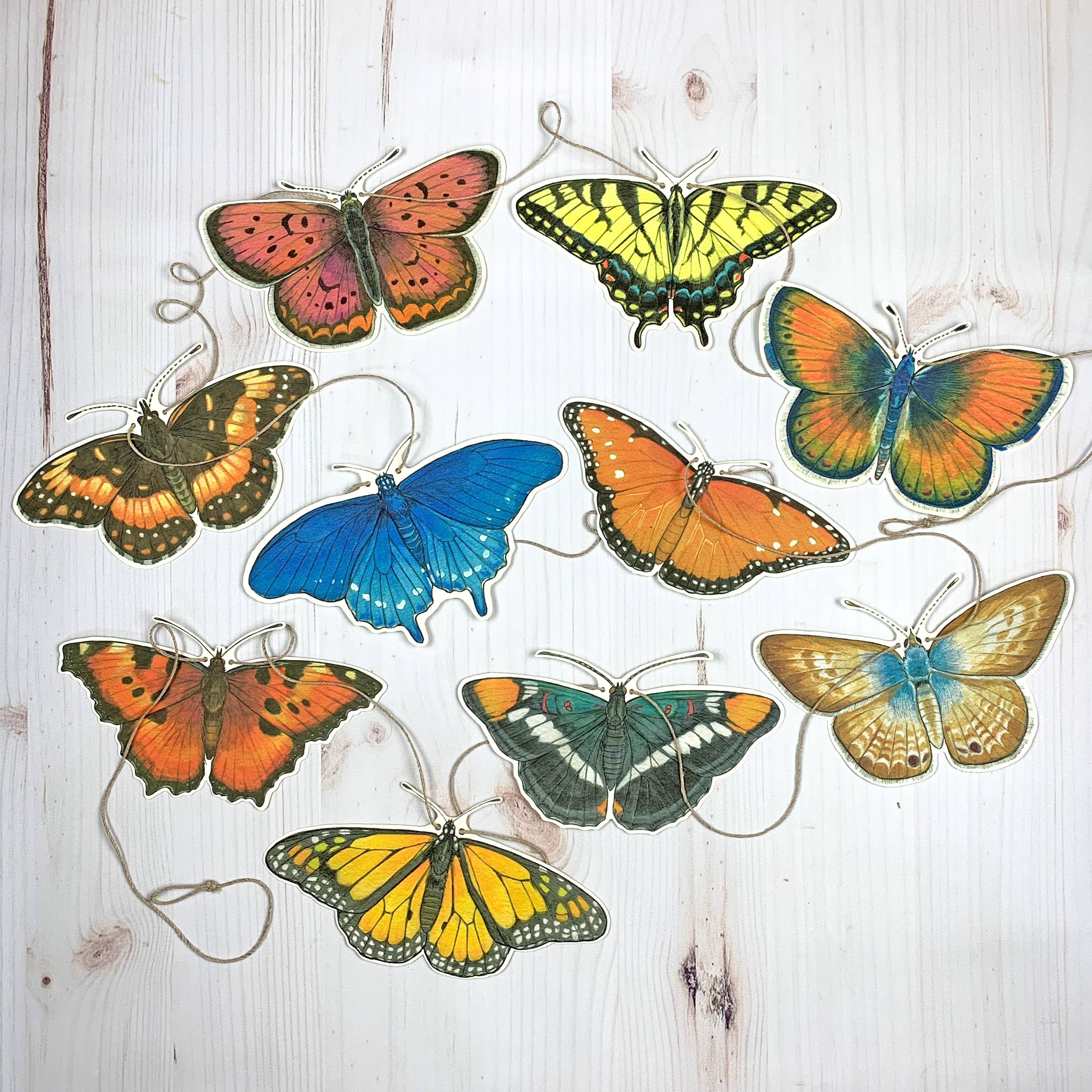Sarah Draws Things - Wholesale Bunting/Garland - Western U.S. Native Butterfly Illustrated Garland2