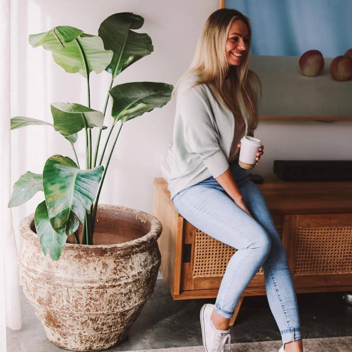 Coprispalle in cotone Lexie (disponibile in 3 colori) per la vendita all'ingrosso da parte di The Scarf Company