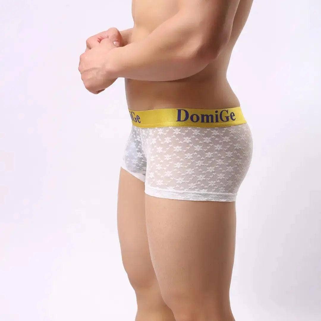 DomiGe – Großhandel Unterwäsche – Herren – Herrenhose aus transparentem Netzstoff mit stilvollem Logo-Bund — ultimativer Komfort und verführerische Herrenunterwäsche6
