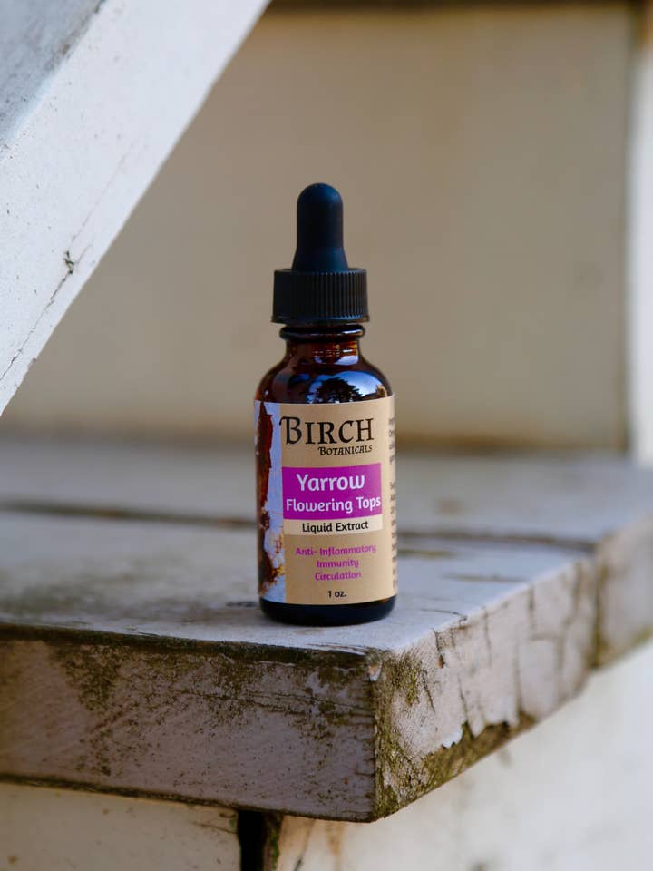 Yarrow Uddrag for engroshandel hos Birch Botanicals