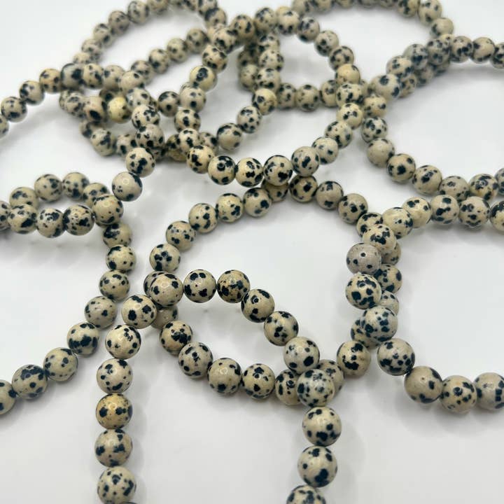 Oils and Auras - Wholesale Beaded Bracelet - Dalmatian Jasper Crystal Bracelet - 8mm Bead5