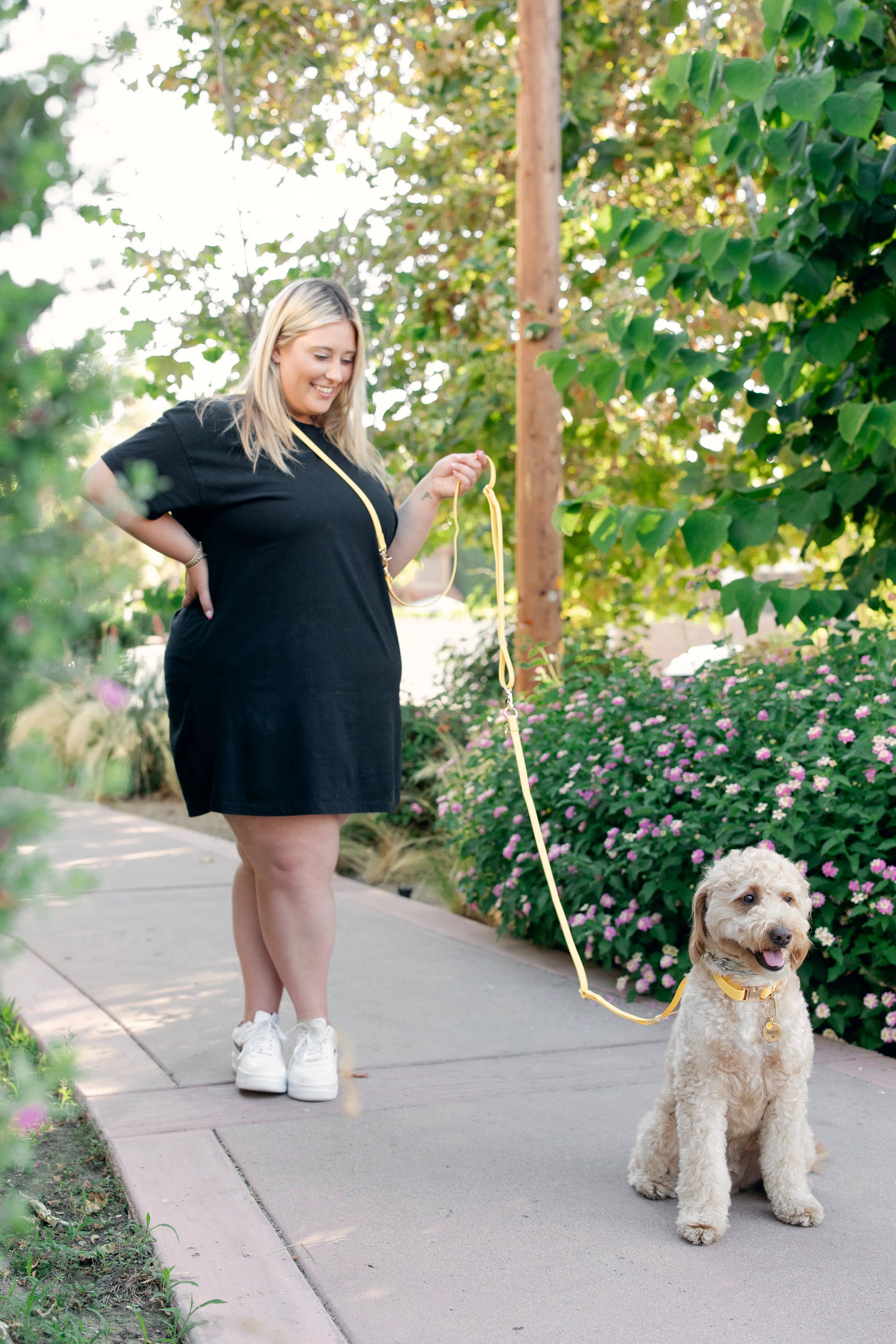 SUNNY TAILS - Wholesale Pet Leash - Dog - Espresso Brown Cloud Leash 4-Way Extension2