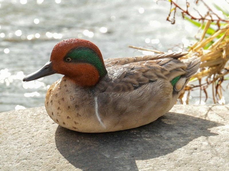 Hi-Line Gift Ltd. - Wholesale Decorative Figurine - Large Green Wing Mallard Decorative Figurine