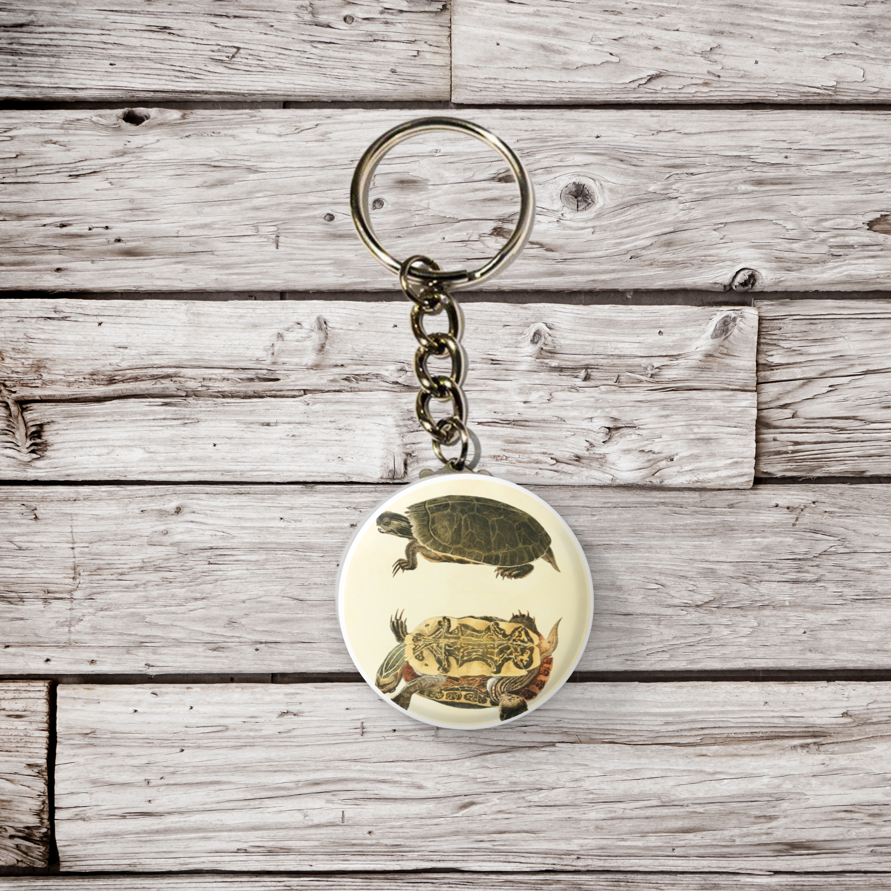 NatureCuts – wholesale Lapel pin/button – Painted Turtle Pin Button, Turtle Keychain, Turtle Magnet2