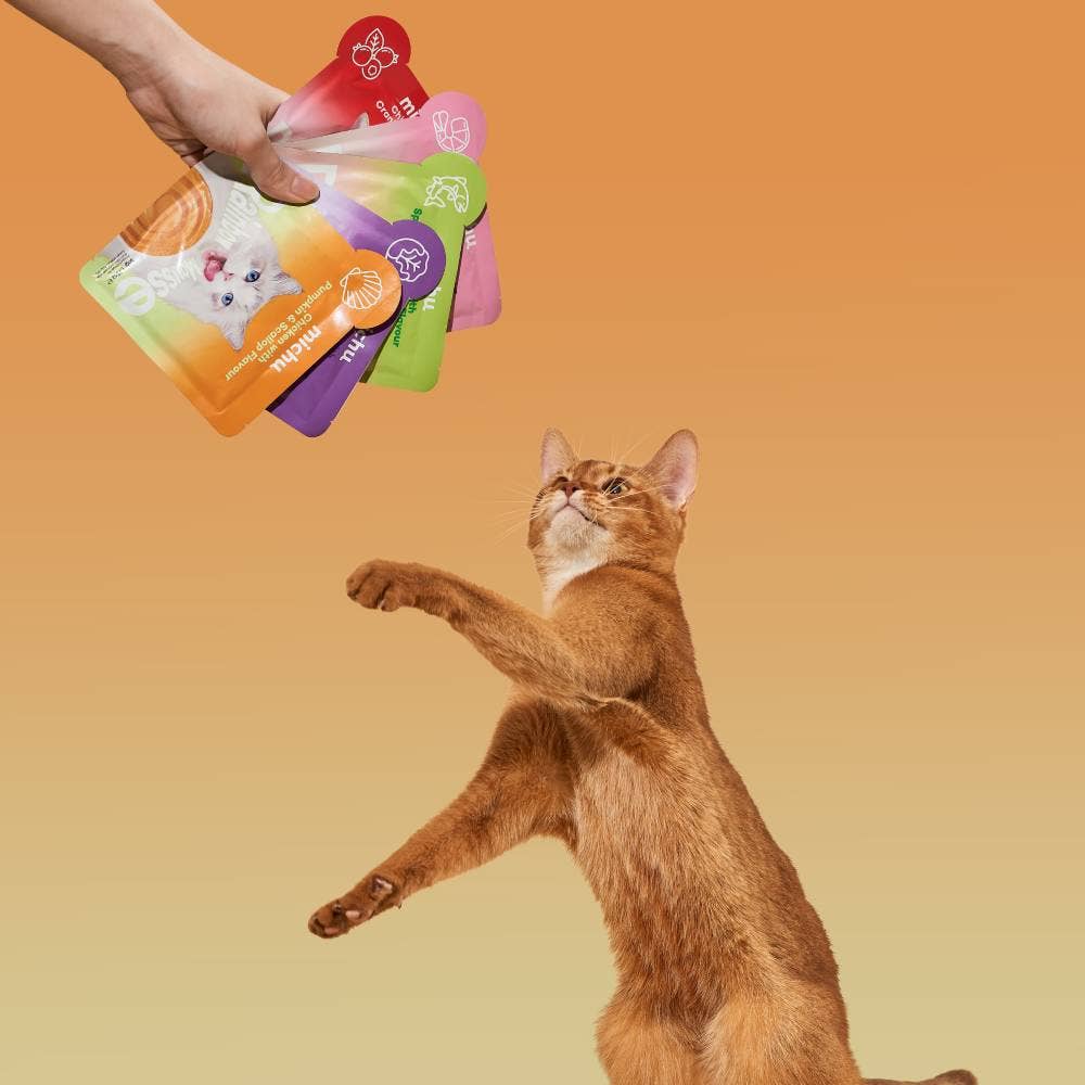 MichuPet - Vendita all'ingrosso Cibo - Gatti - Michu Rainbow Mousse con 5 gusti per gatti2