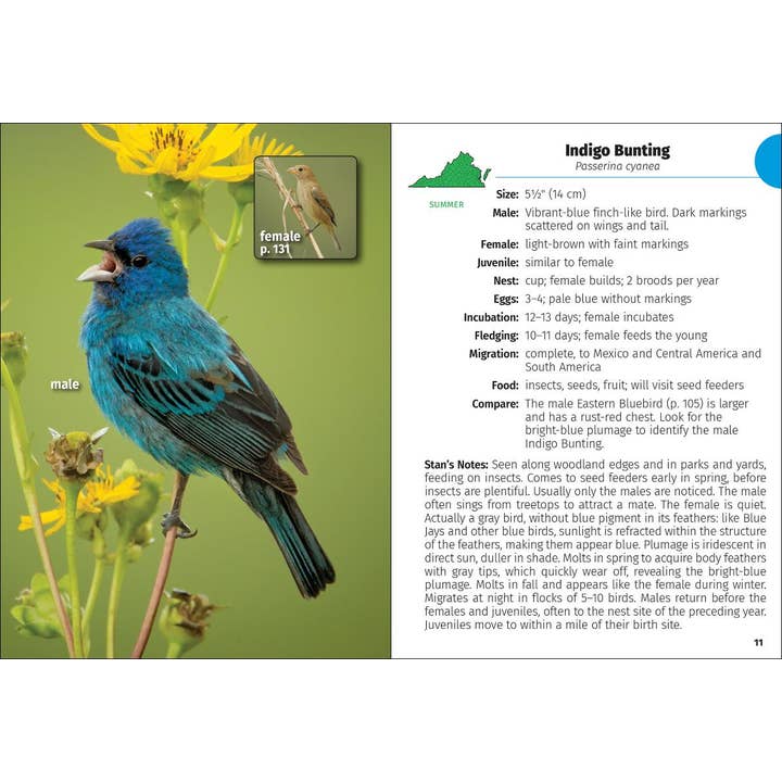 AdventureKEEN - Wholesale Nature Guide - Birds of Virginia Field Guide 2e
