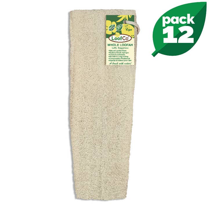 Whole Loofah | BULK Box of 12 | 5% Discount for wholesale by LoofCo - Loofahs & Coconut Brushes