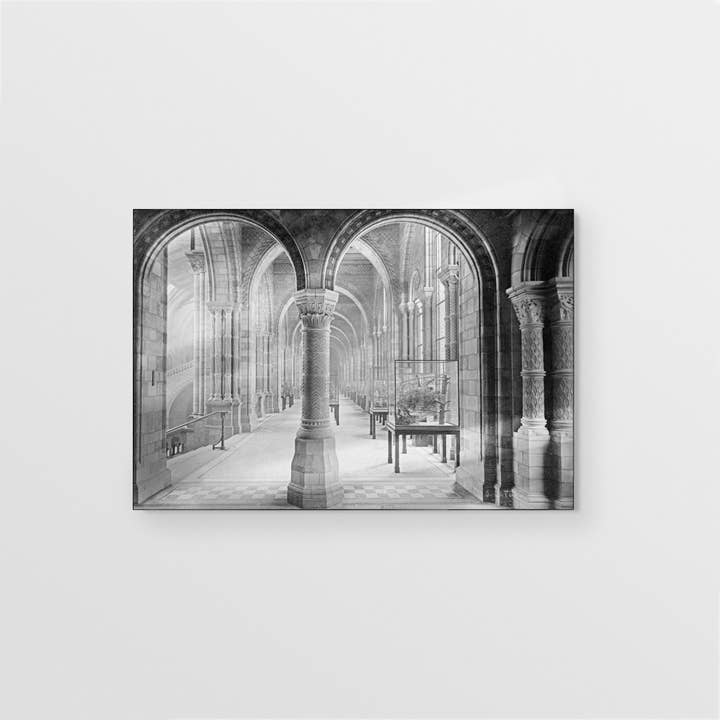 Naturhistorisk Museum for engroshandel hos NC Design group