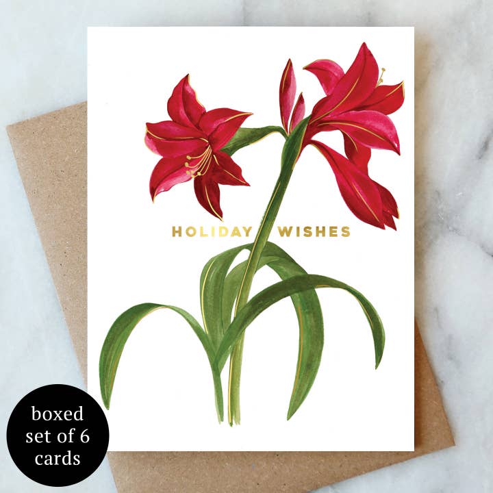 Abigail Jayne Design - Wholesale Season's Greetings Card - Amaryllis Holiday Wishes Greetings Card - Box Set of 6