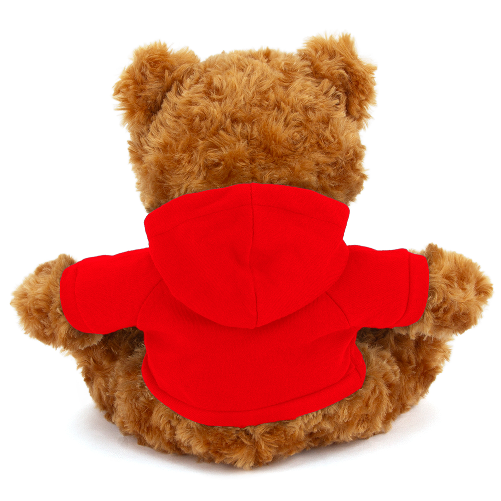 Plushland – wholesale Stuffed/plush toy – Kids & baby – 11" Personalized Teddy Bear in Hoodie | Custom Sitting Bear34