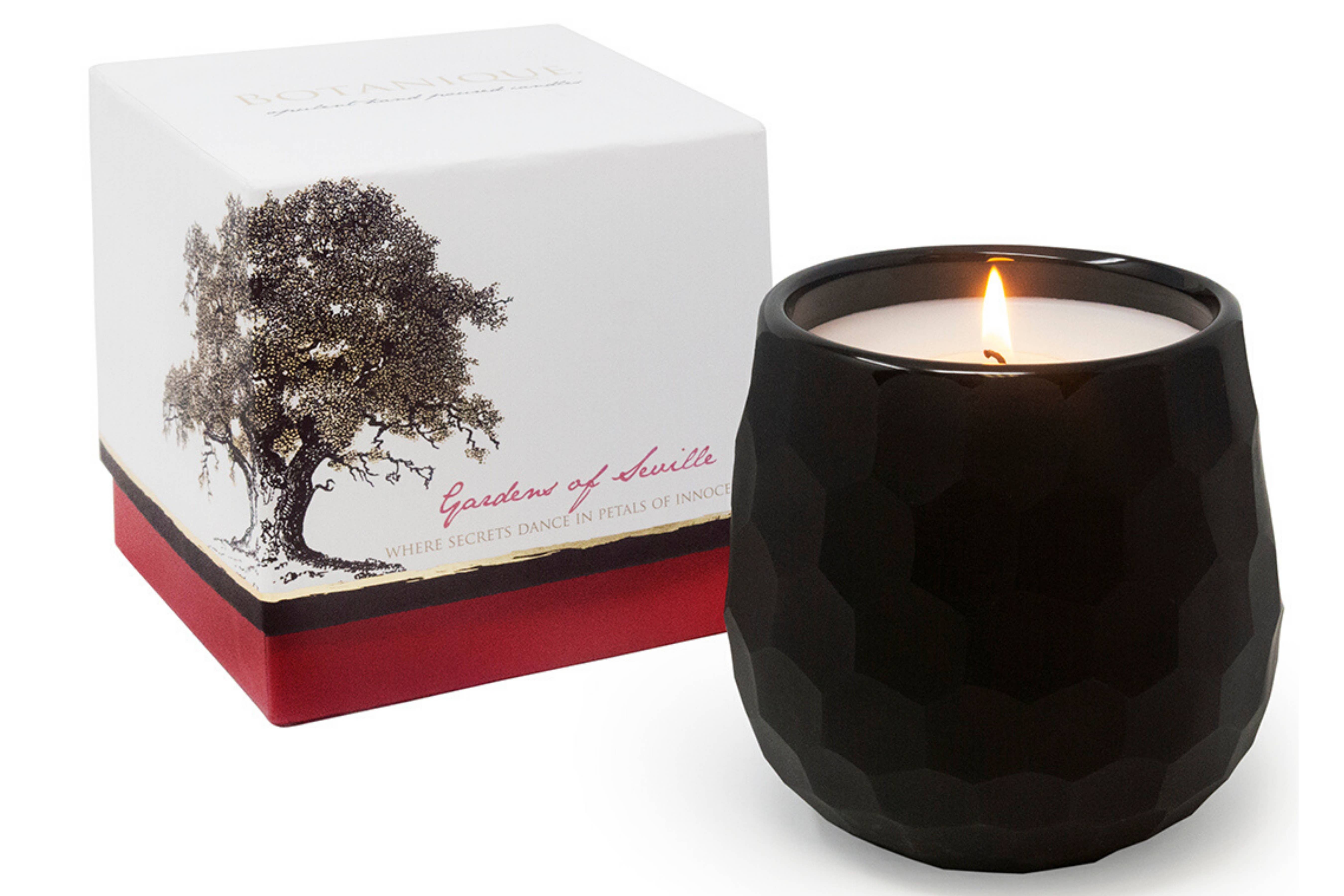 Andaluca - Wholesale Jar/Filled Candle - Botanique Luxe 16 oz Black Candle14