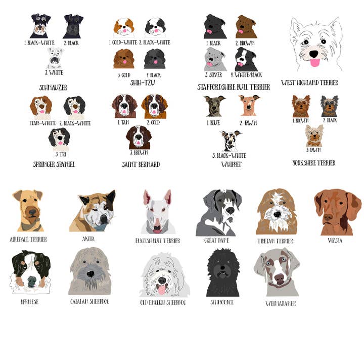 Afewhometruths – wholesale Pet identification tag – Dog – Personalised Dog ID Tag5