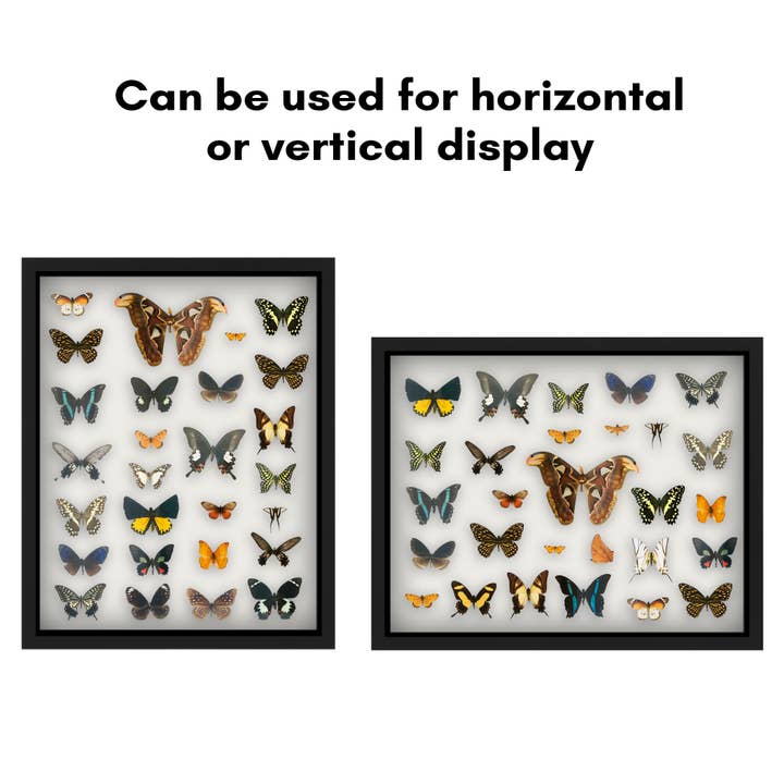 Americanflat - Wholesale Picture Frame - Americanflat Shadow Box Frame with Soft Felt Back39