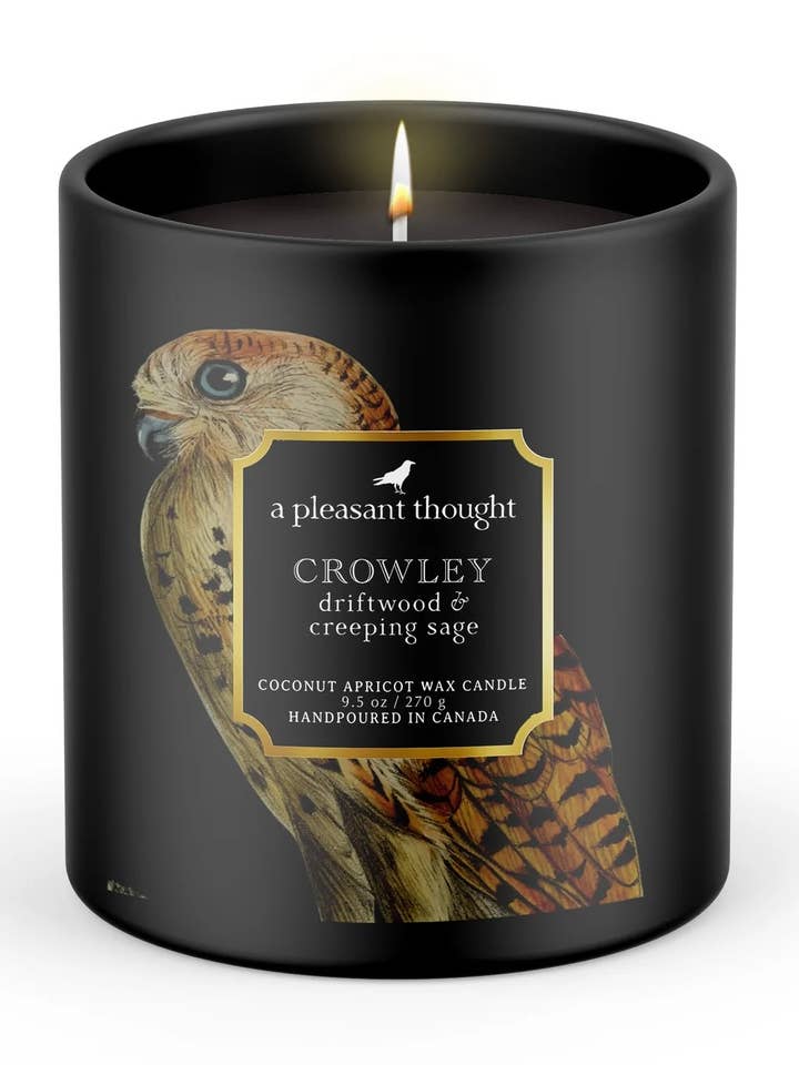CROWLEY | DRIFTWOOD & CREEPING SAGE | RAVEN CANDLE for wholesale by A Pleasant Thought