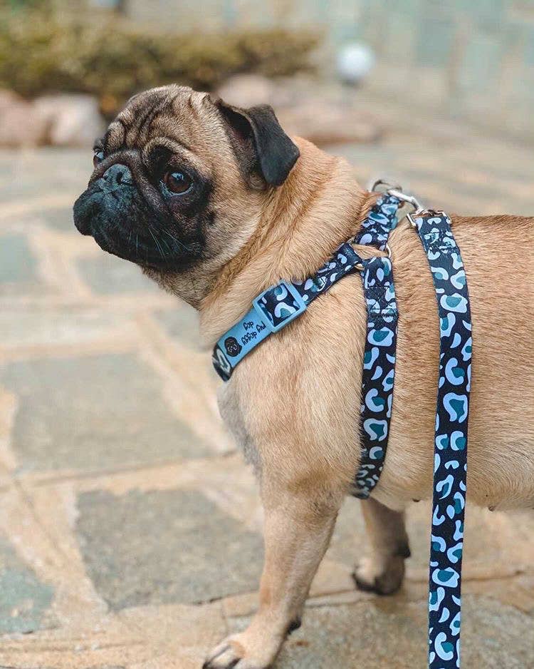 Pug Doggy Dog - Wholesale Pet Harness - Dog - Black and white leopard print harness and lead set4