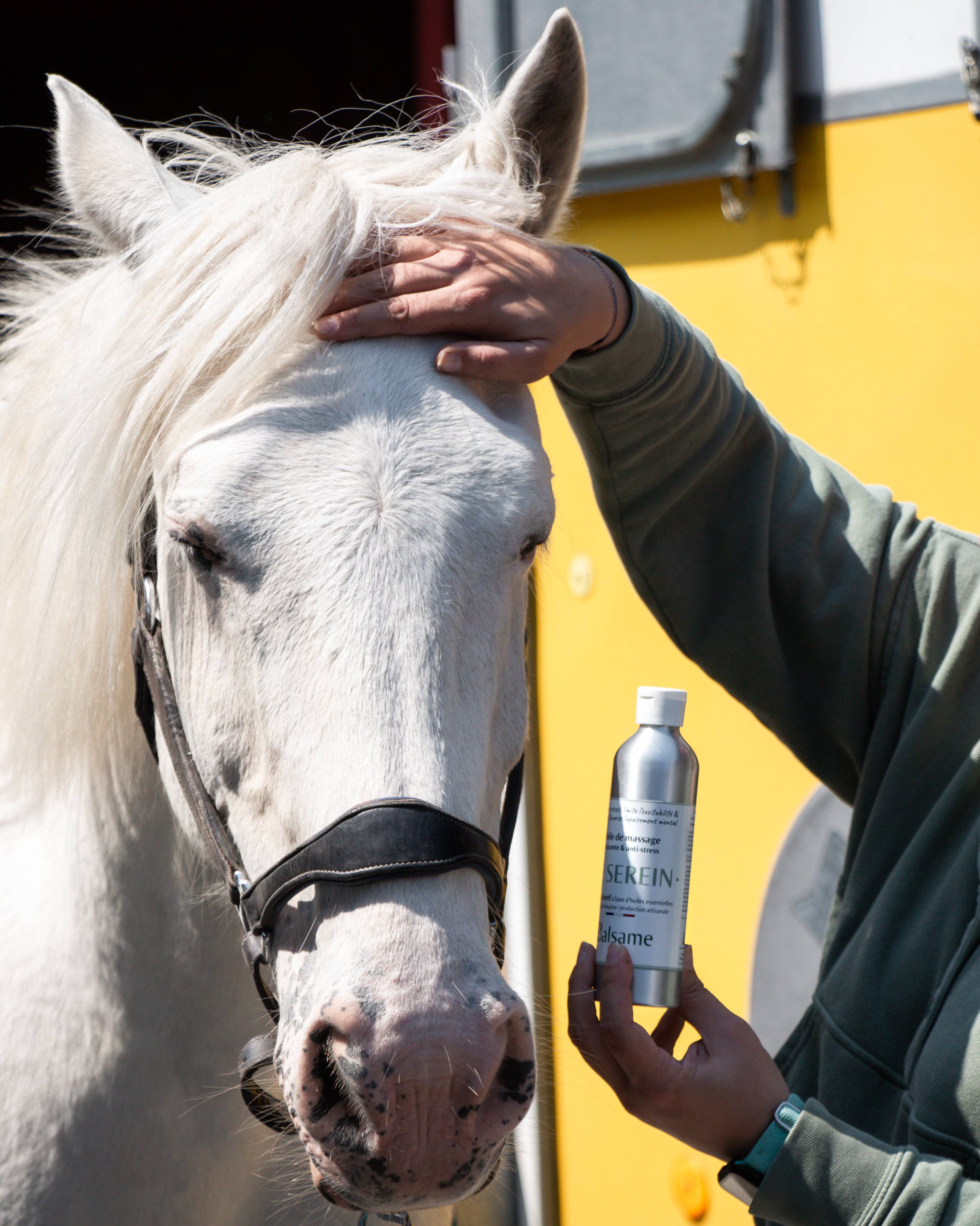 BALSAME - Wholesale Horse Conditioner/Grooming Aid - THE SERENE, Anti-stress oil2