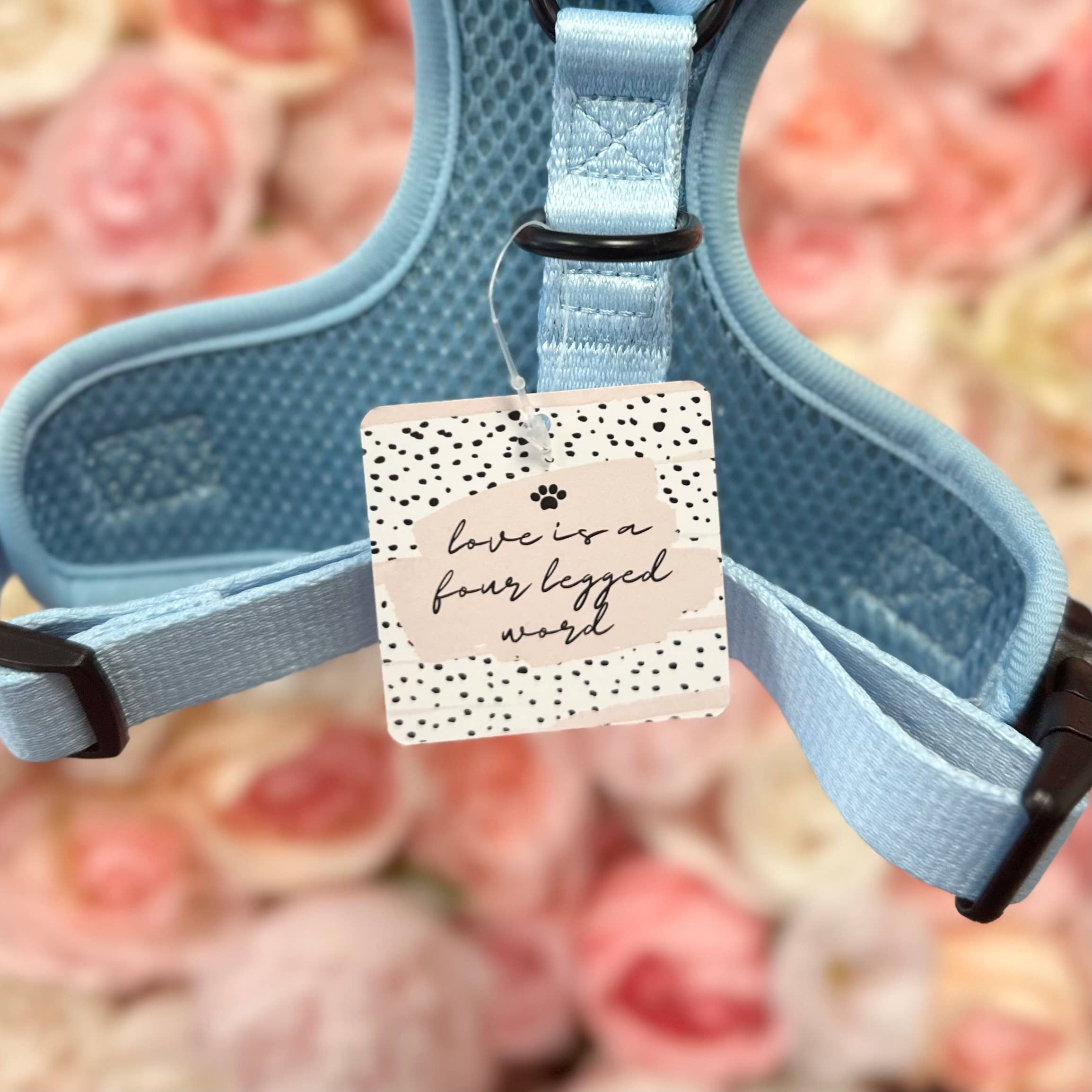 Cocopup London - Vente Collier – chien - Swing Tags de la marque Cocopup2