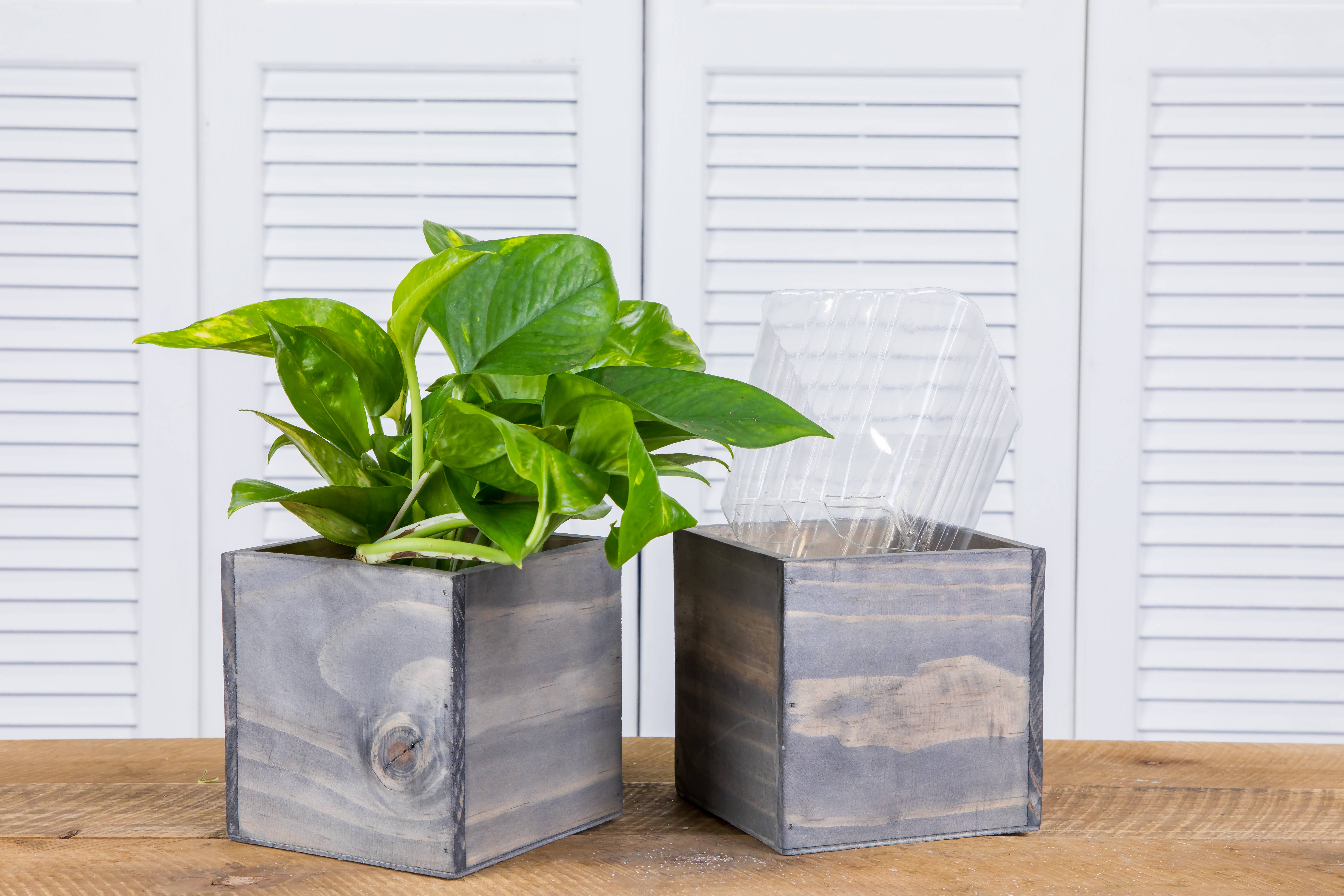 UNIMIX FLORAL – suporte para vasos de plantas por atacado – Plantas/Contentores em Madeira 5"x5"2