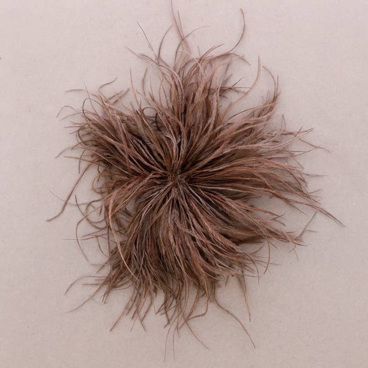 Sonata - Vendita all'ingrosso Spille - Spilla Piume 10-15cm(C)3