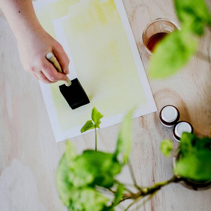 My Little Print Studio - Wholesale DIY Craft Kit - Cyanotype Printing Kit