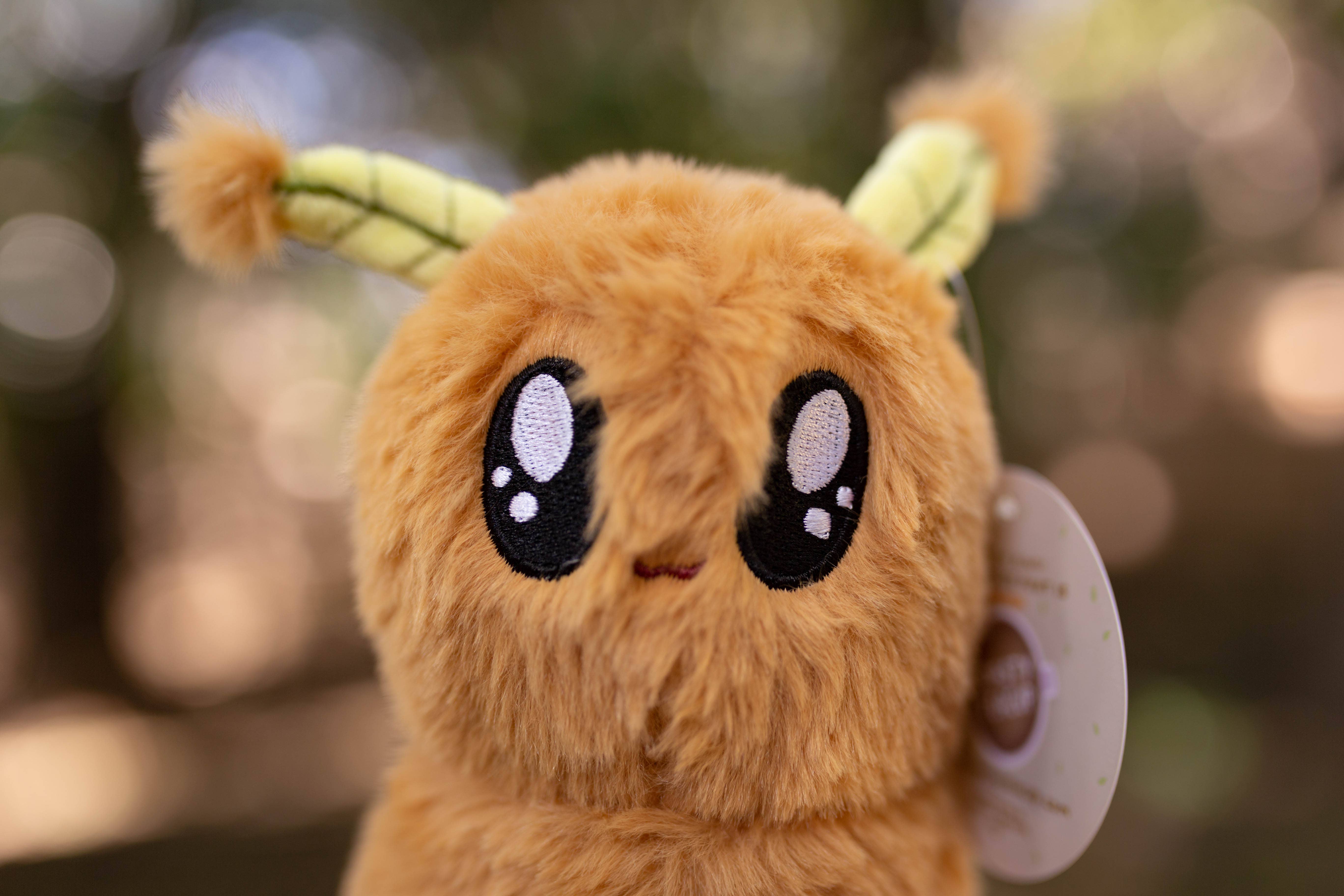 Toasty Teacup – Großhandel Kuschel-/Plüschtier – Kind & Baby – Kiwi-Fruchtmotte aus Plüsch6