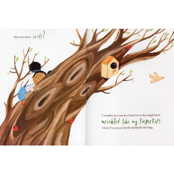 EDC Publishing - Wholesale Preschool Book (3-5) - Hello, Trees1