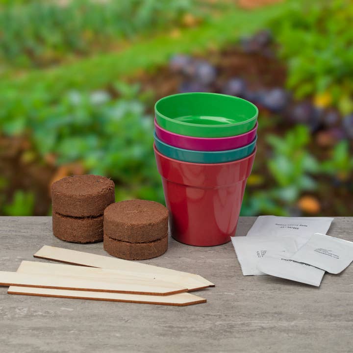 Gardening for Kids Ltd – wholesale Plant seeds – Grow Your Own Salad Garden Gift Bag2