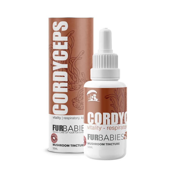 Cordyceps Mushroom Oral Drops 50mL bottle for wholesale by FurBabies Pet Products